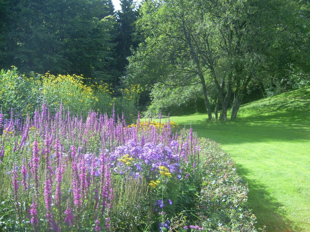 Farm Stay Heidehof Hellenthal Exterior foto