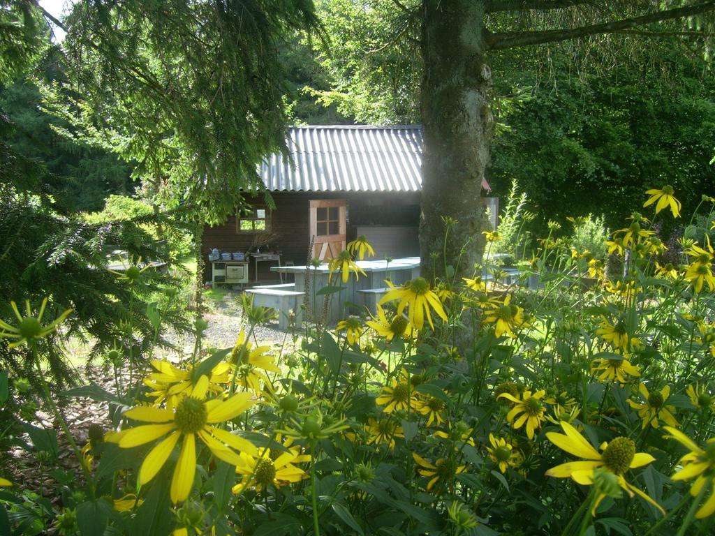 Villa Heidehof Hellenthal Exterior foto