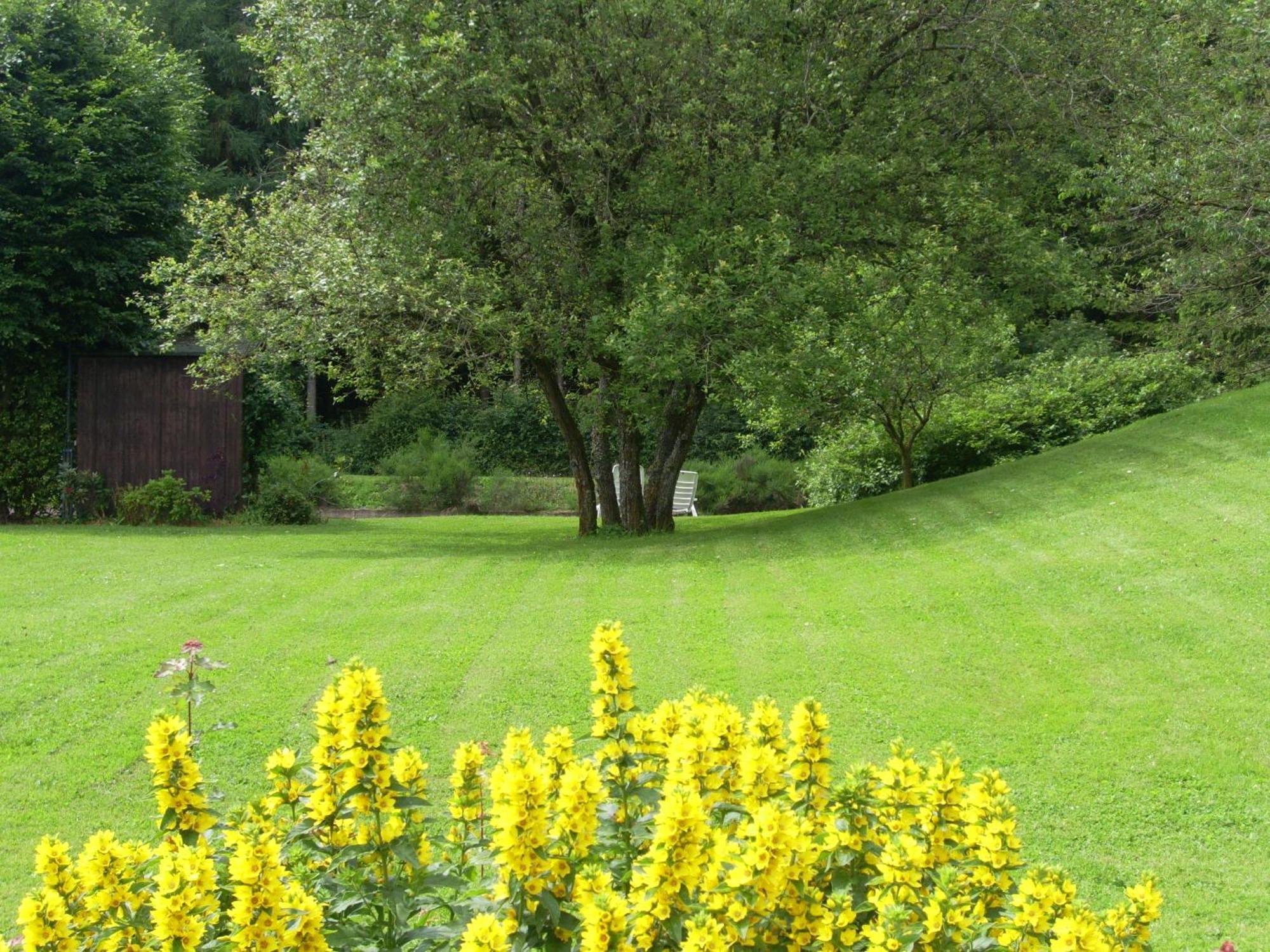 Farm Stay Heidehof Hellenthal Exterior foto