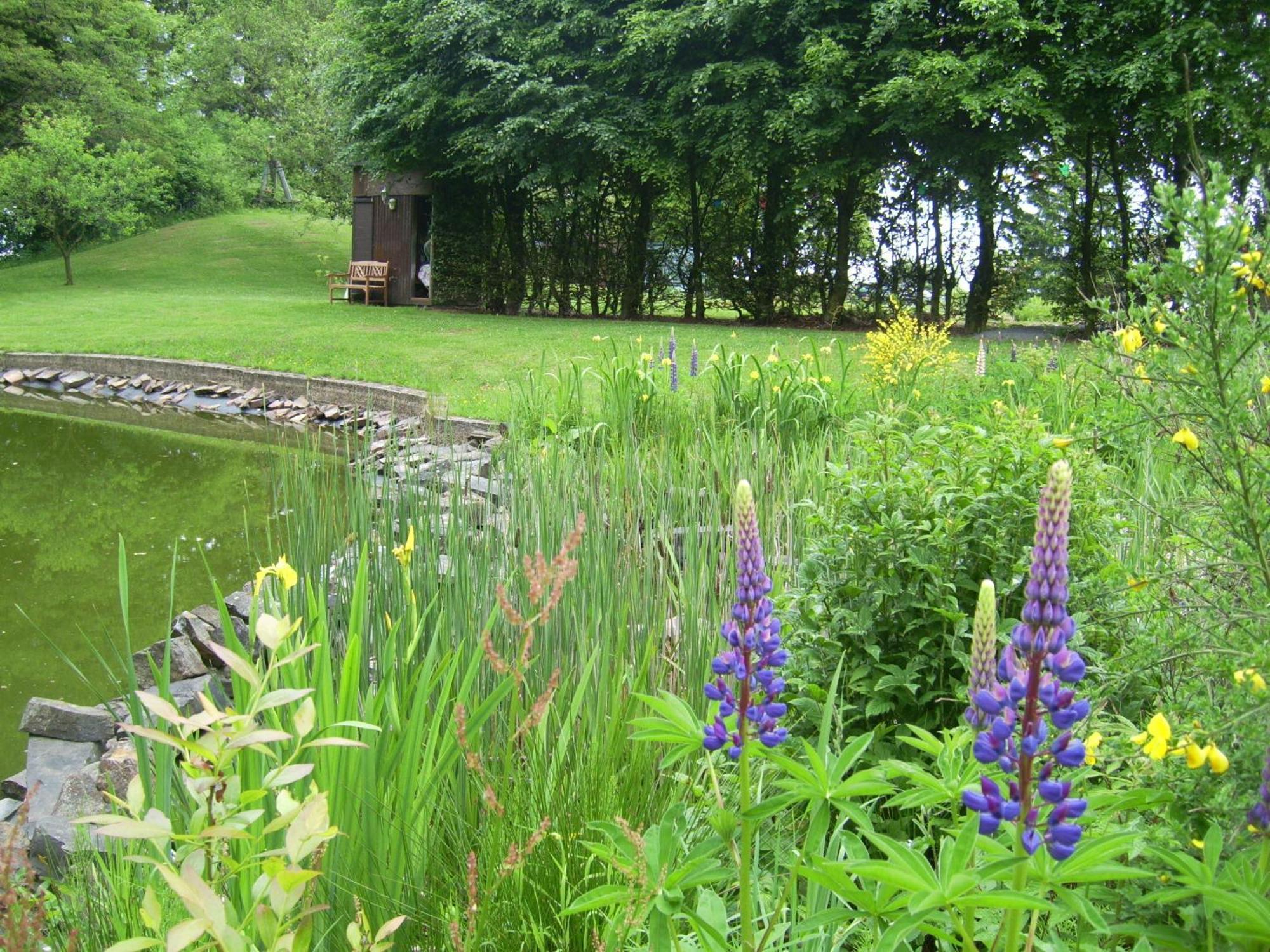 Farm Stay Heidehof Hellenthal Exterior foto